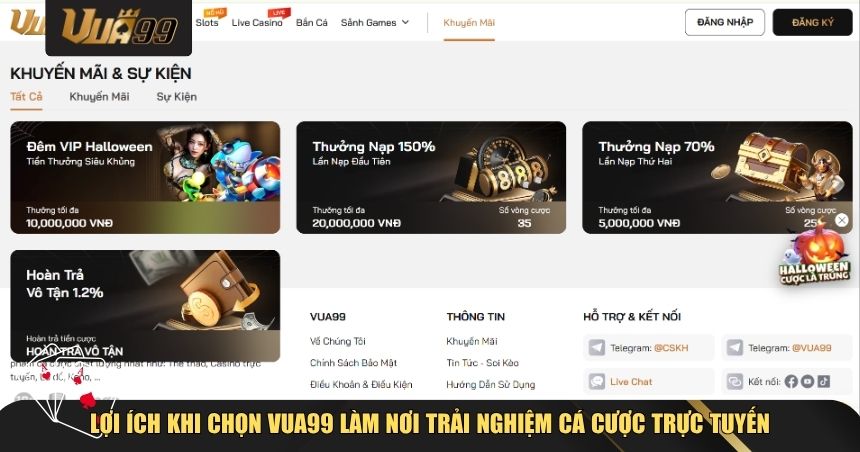Lợi ích khi chọn tham gia cá cược tại VUA99