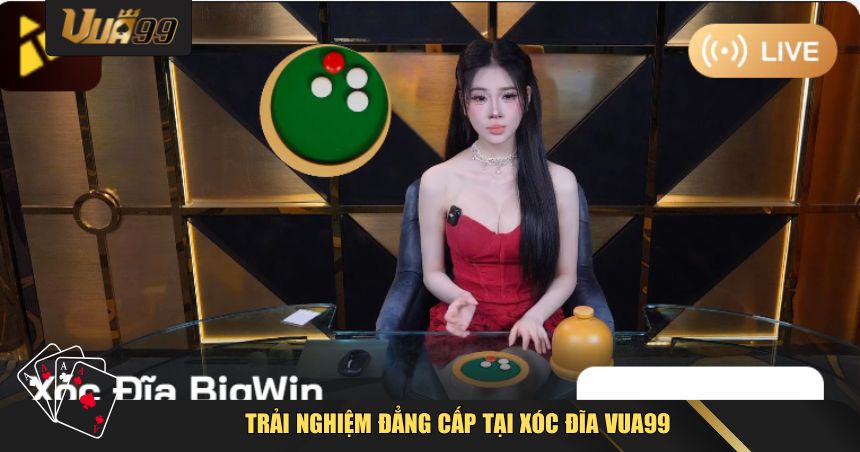 Xóc Đĩa VUA99 – Mẹo Chơi Hay Nhất Với Tỷ Lệ Thắng Cao 1 Trải nghiệm đẳng cấp tại Xóc Đĩa VUA99